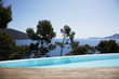 Infinity pool overlooking trees and skyline