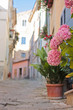Small town Motovun in Croatia