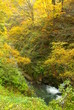 一の滝（村山市樽石）