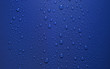 dew in blue back