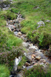 small stream with pebbles