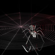 metal spider and spiderweb