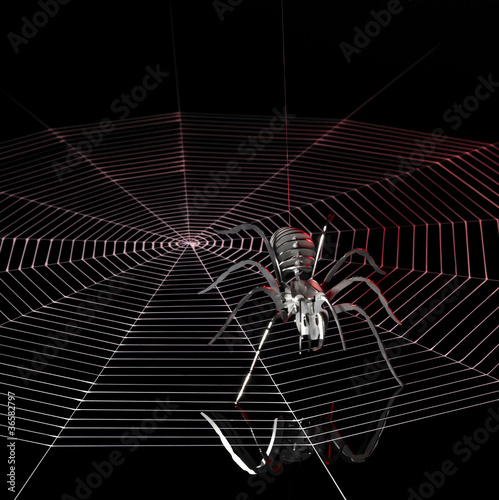Foto: metal spider and spiderweb metal spider and spiderweb