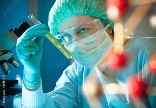 Foto: scientist working at the laboratory scientist working at the laboratory