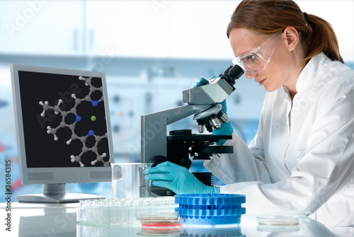 Photo: scientist working at the laboratory scientist working at the laboratory