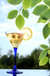 Evening Cocktail