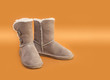 Stylish Winter Boots
