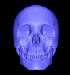 scull 3d