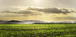 Photo: Landscape with green field at sunset Landscape with green field at sunset