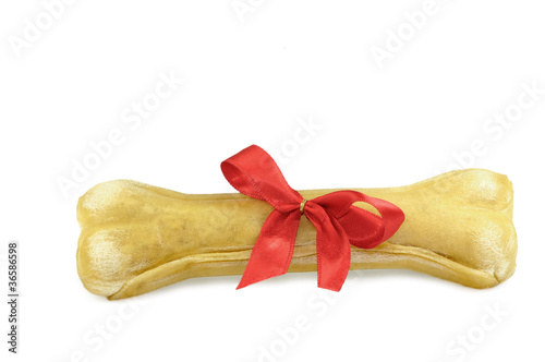 Photo: Hundeknochen mit Schleife Hundeknochen mit Schleife