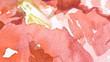 Water-color texture