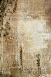 stone wall background