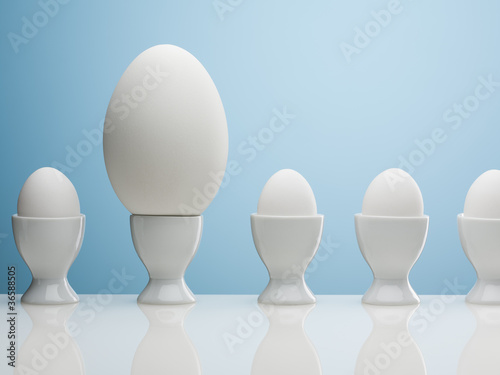 Photo: Large egg in egg cup Large egg in egg cup