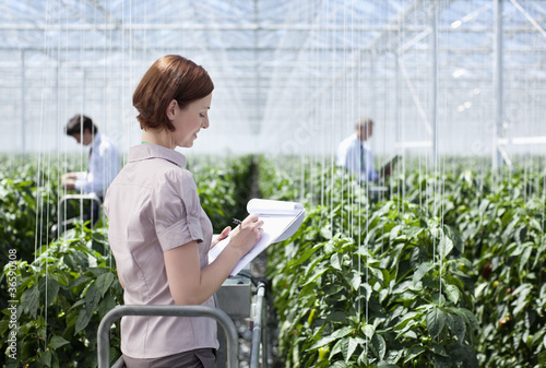 Foto: Worker writing on clipboard in greenhouse Worker writing on clipboard in greenhouse