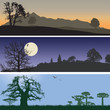 Landscape banners