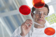 Scientist examining petri dishes in lab