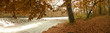 Bois en automne