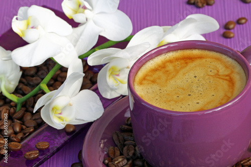 Photo: Milchkaffee Milchkaffee
