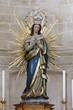 Immaculate Madonna