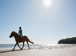 Girl riding horse on the beach