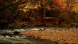 brook and creek