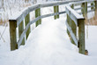 White pathway White pathway