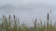 Early morning shot about foggy sunrise