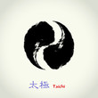 tao: Taichi yin and yang tao: Taichi yin and yang