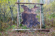 Moose skin