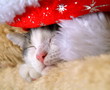 Weihnachten