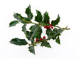 Decoration de Noel