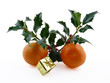 Decoration de Noel