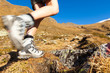wandern kreuzspitze beine