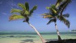 Tropical beach, 4 different scenes Tropical beach, 4 different scenes
