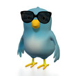Bluebird with sunglasses