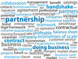 PARTNERSHIP Tag Cloud (business contract commerce teamwork)