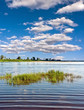 Beautiful summer landscape with river and forest Beautiful summer landscape with river and forest