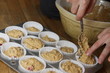 Muffins