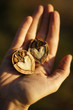 Photo: Natural food Natural food