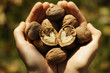 Photo: Abundance Abundance