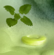 Foto: freshness with soap and foam freshness with soap and foam