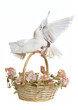 Basket with wedding flowers and doves