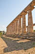 Paestum temple - Italy