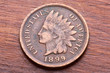 Indian Head Cent