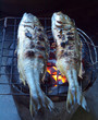 Fishes roasting Fishes roasting