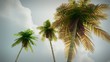 (1274) Romantic Tropical Palm Trees Travel Fantasy Animation