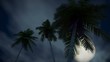 (1277) Full moon and stars romantic tropical fantasy travel