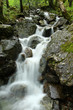 Wasserfall im Wald