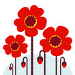 Vector: Remembrance Day symbol: red Poppy flowers isolated on white.. Remembrance Day symbol: red Poppy flowers isolated on white..
