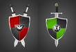 two shields and swords, vector